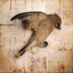 "Quiet"; Hand-colored inkjet photograph on tea bags, mounted on wood; 12" x 12" x 1.5"; 2011