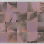 “Box Breathe (13 Moons)” (detail 11); Silver gelatin photographic chemigrams, thread; 16" x 28" each; 2020-2021