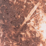 “Coddiwomple”; Silver gelatin lumen; approx. 4” x 7”; 2023