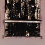 “Control #14 (08/24)"; Silver gelatin photographic chemigram; 14" x 11"; 2024